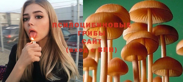 а пвп мука Аркадак
